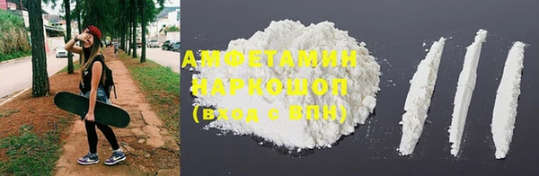 индика Покачи