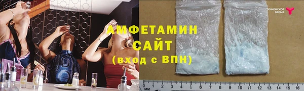индика Покачи