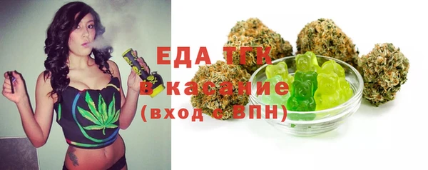 индика Покачи