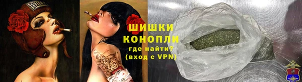 индика Покачи