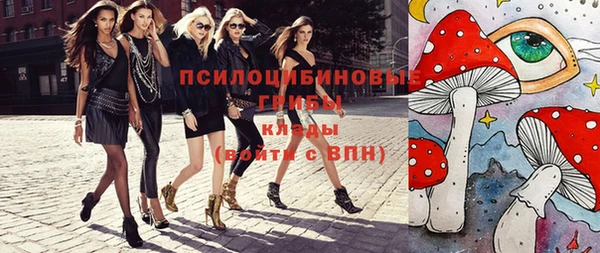 индика Покачи