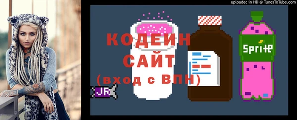 индика Покачи