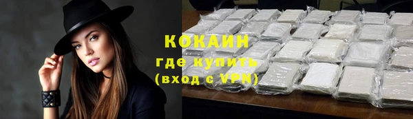 шишки Покров