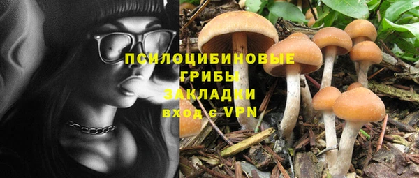 индика Покачи