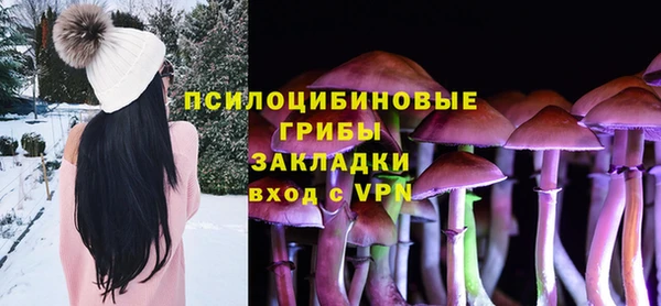 прущий лед Пересвет