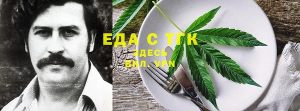 индика Покачи